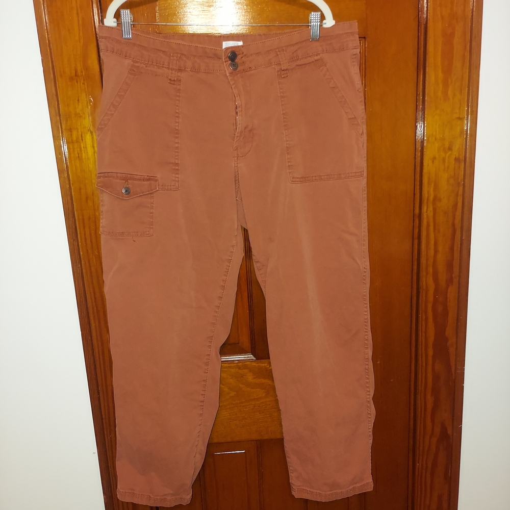 Time and Tru Cargo Pants in Rust